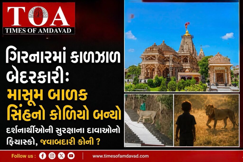 ગિરનારમાં કાળઝાળ બેદરકારી: માસૂમ બાળક સિંહનો કોળિયો બન્યો; દર્શનાર્થીઓની સુરક્ષાના દાવાઓનો ફિયાસ્કો, જવાબદારી કોની? ગિરનારમાં કાળઝાળ બેદરકારી: માસૂમ બાળક સિંહનો કોળિયો બન્યો; દર્શનાર્થીઓની સુરક્ષાના દાવાઓનો ફિયાસ્કો, જવાબદારી કોની?